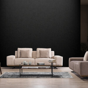 Monas Koltuk Takımı